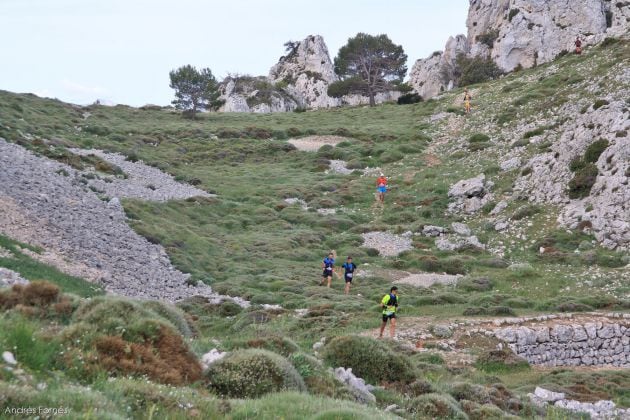 Participantes en anteriores ediciones de la carrera