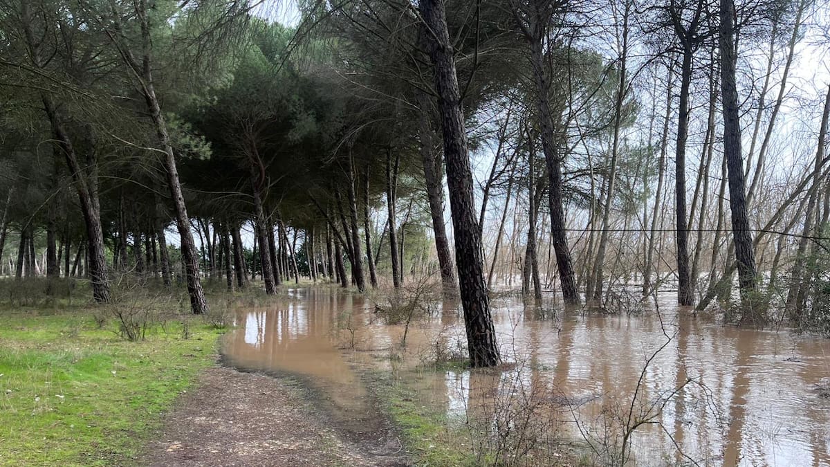 El Duero en la provincia y la Esgueva en la ciudad son los ríos con mayor riesgo de inundaciones en Valladolid