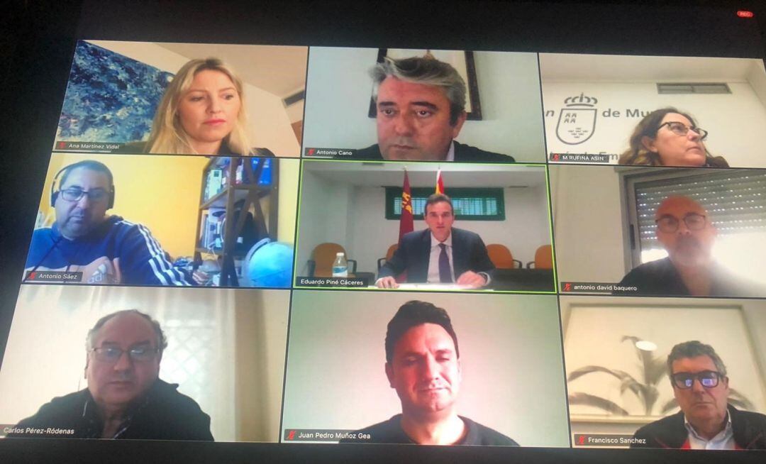 Reunión telemática del Consejo Asesor Regional de Industria de la Región de Murcia