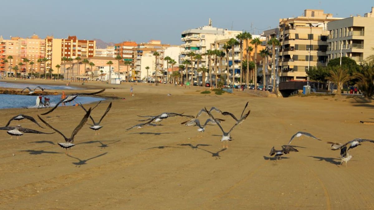 "La Navidad ha sido una catástrofe": Águilas encara las semanas más duras de la pandemia
