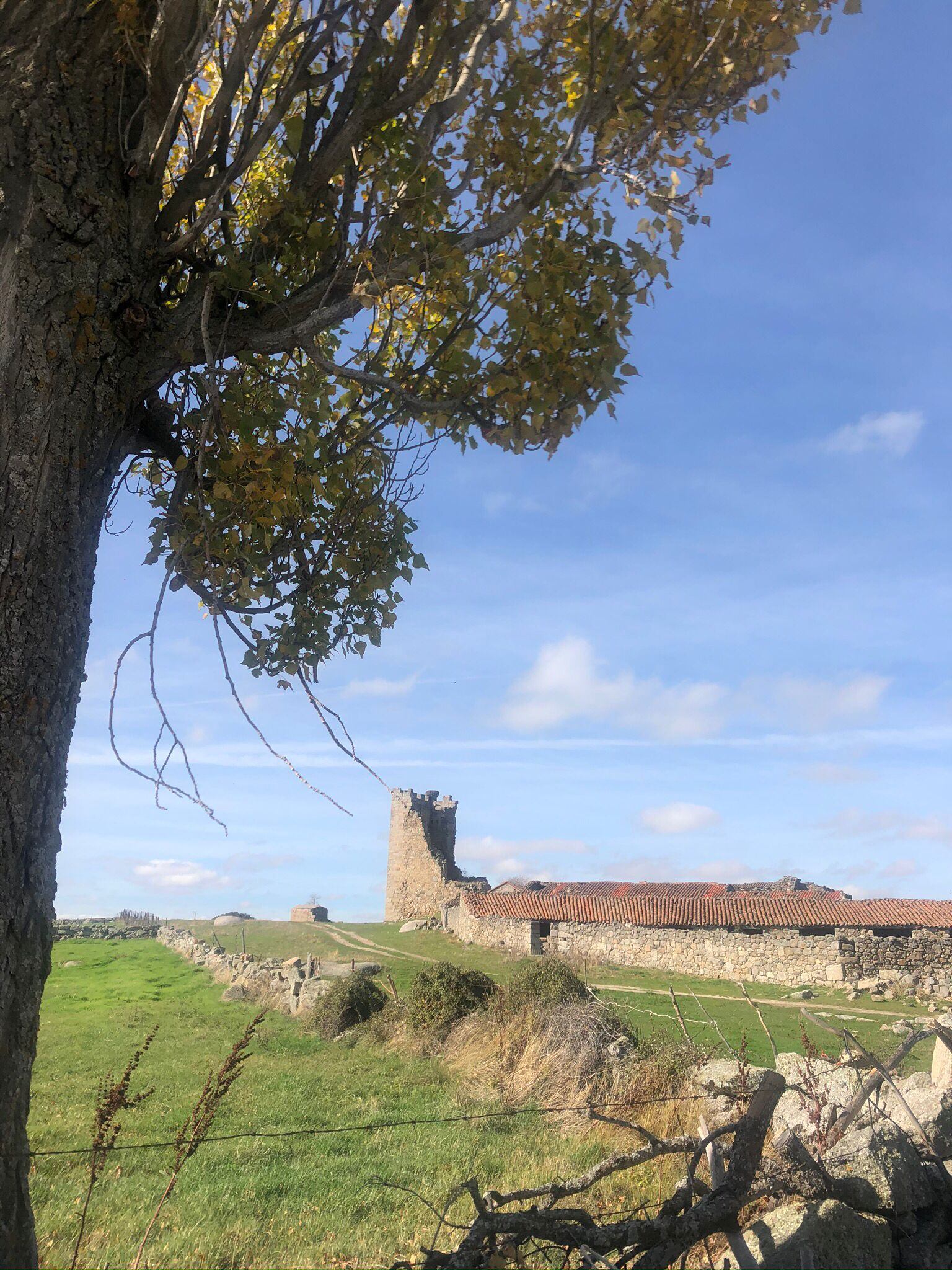 Restos del castillo con edificaciones anexas