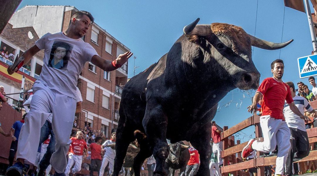 Encierros durante las fiestas patronales del Cristo de los Remedios