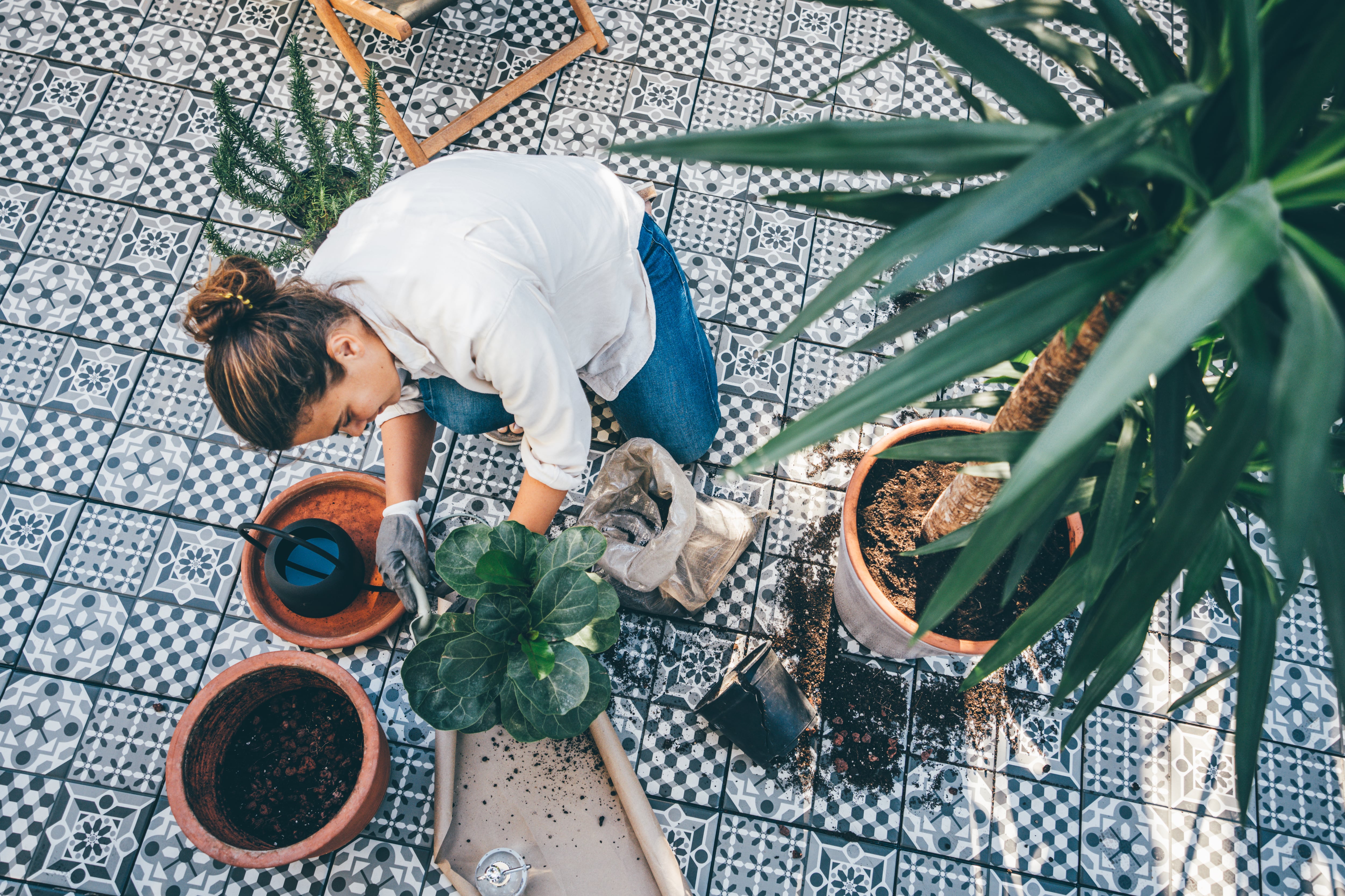 Una mujer plantando en su jardín.