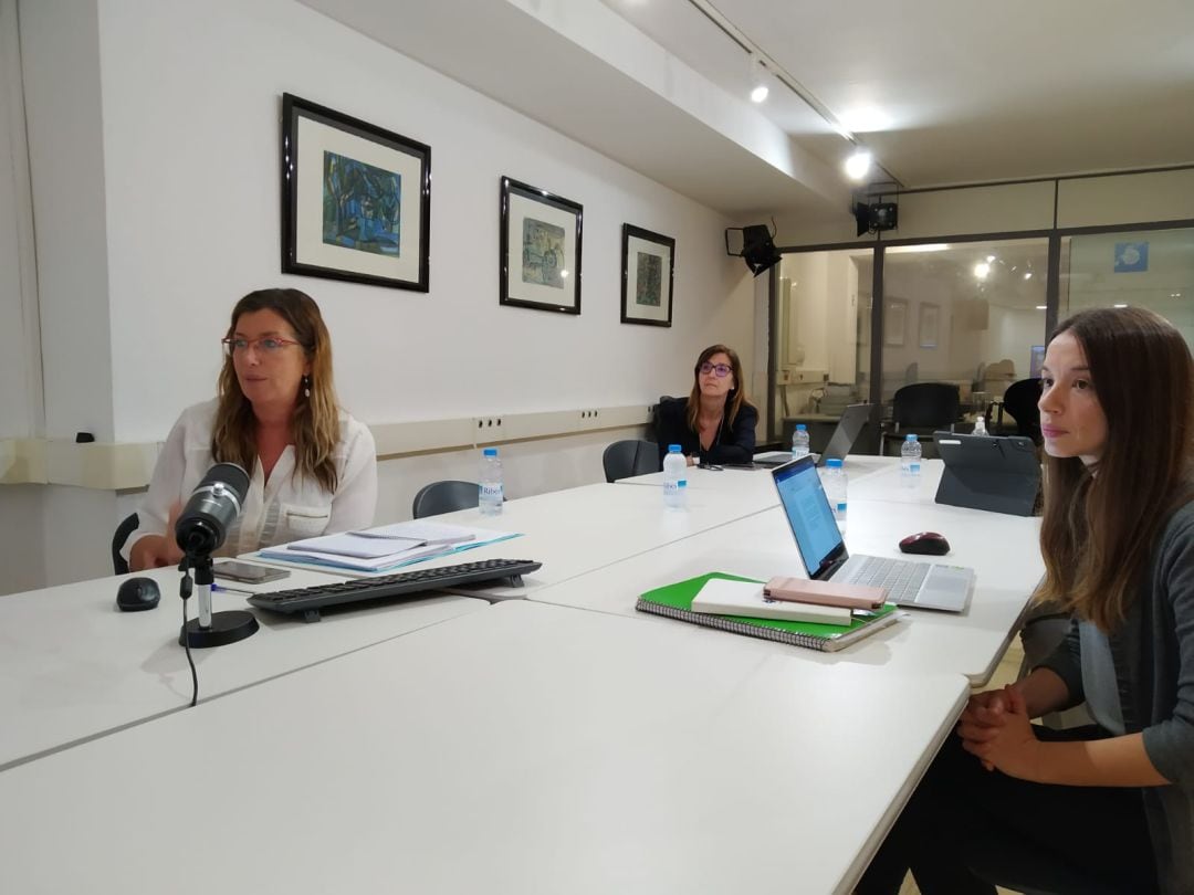 Imagen de la videoconferencia mantenida con el ministro de Sanidad, Salvador Illa