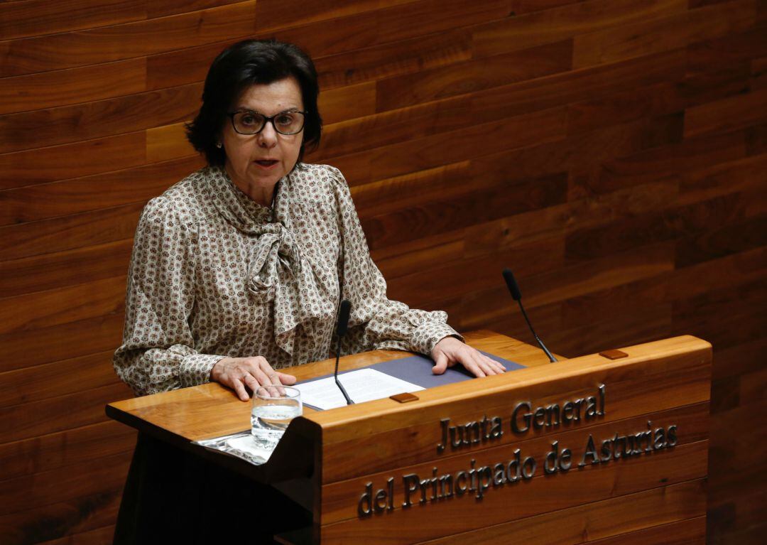 La consejera de Desarrollo Rural, María Jesús Álvarez, interviene en la Junta General del Principado. 