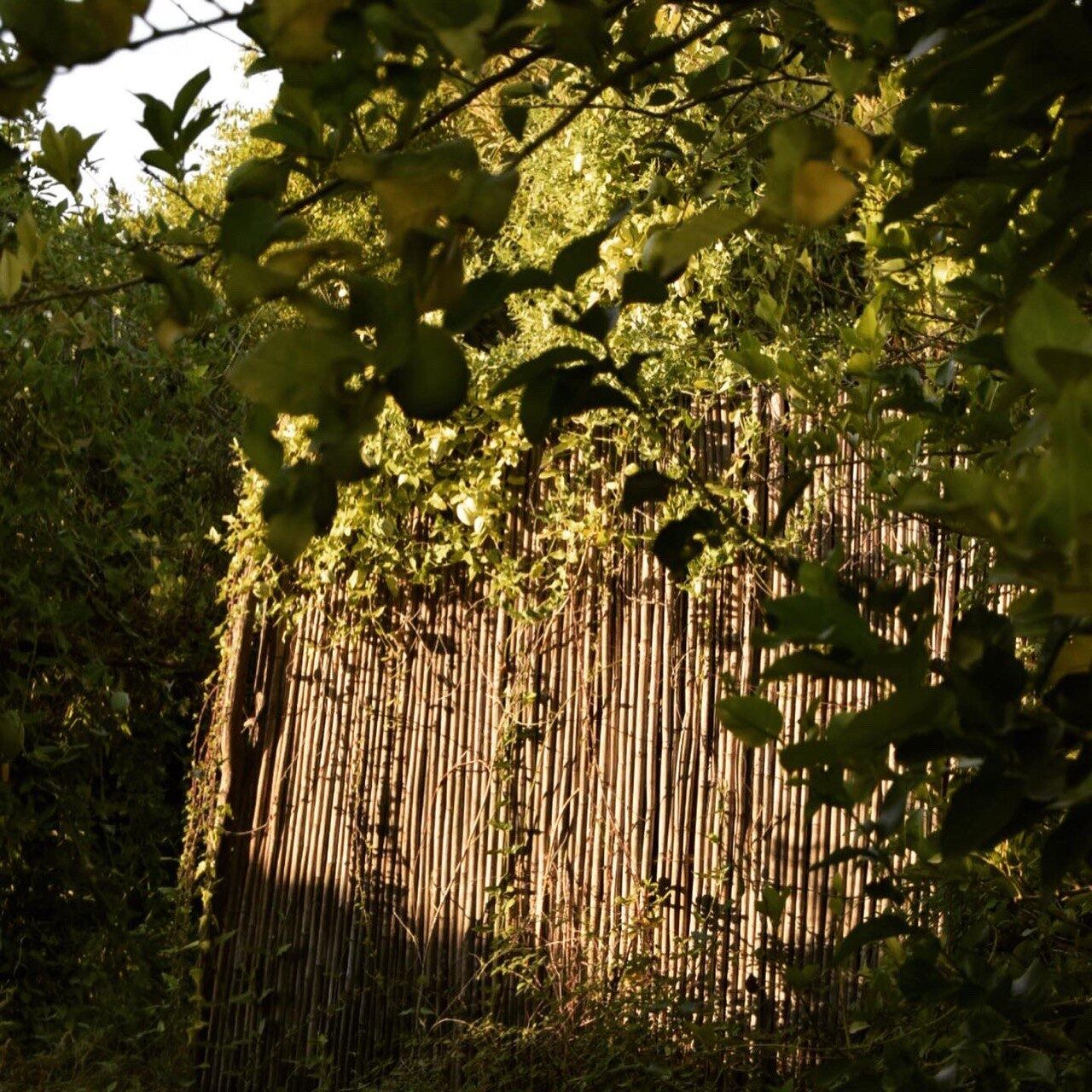 Las acequias son el &quot;pulmón&quot; que durante siglos han dado vida a la huerta de Murcia y sus paisajes