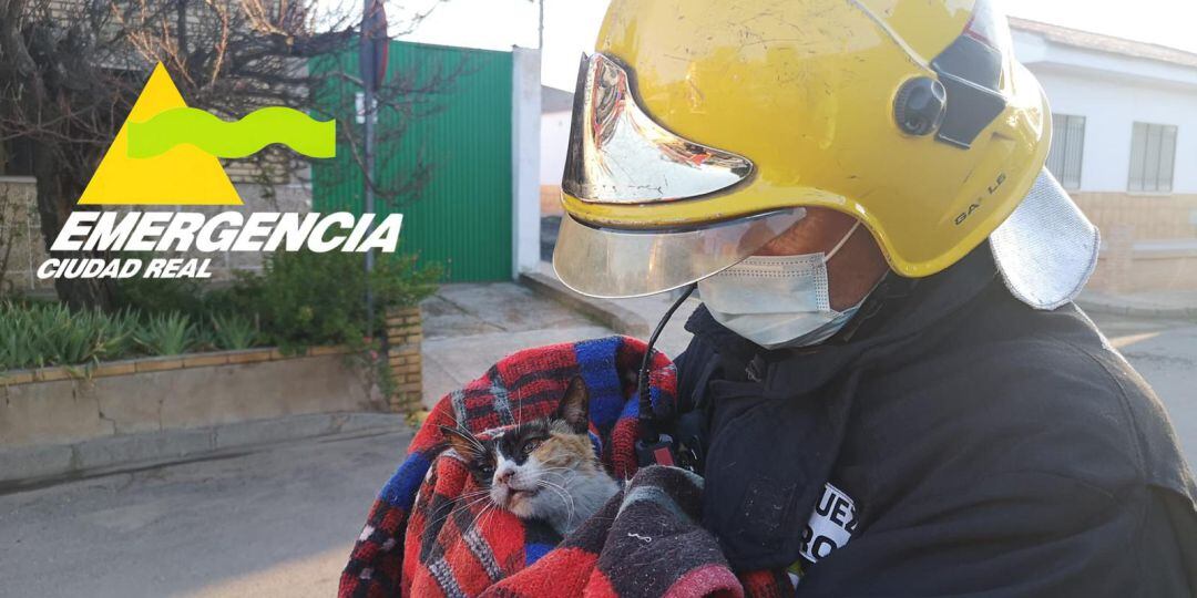 Un bombero del SCIS con uno de los gatitos rescatados