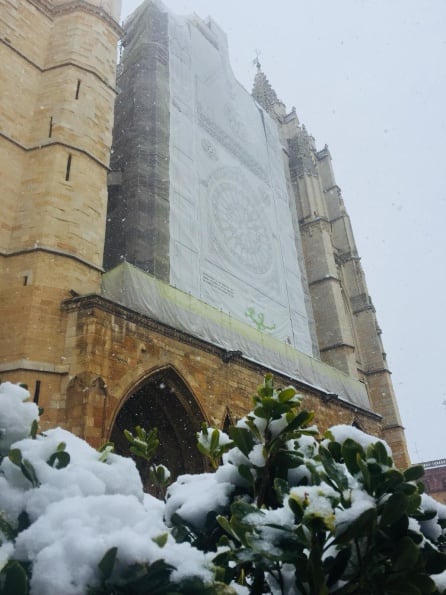 Fachada de la Catedral de León tapada por el &quot;trampantojo&quot; de los andamios