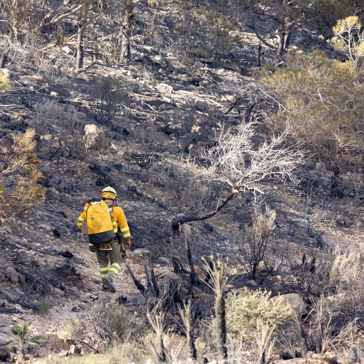El incendio de Cabo Tiñoso, advertencia anticipada antes de la temporada de alto riesgo