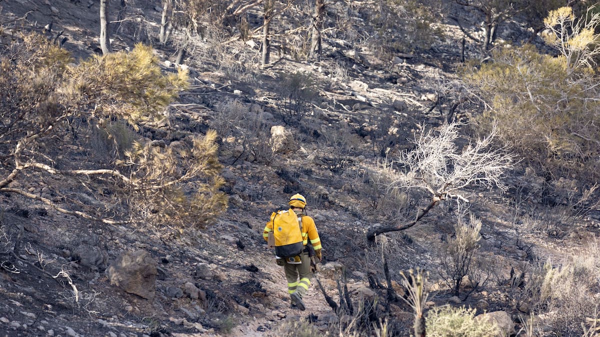 Entrevista Miguel Pérez-Guillermo, Ecoturismo Cabo Tiñoso