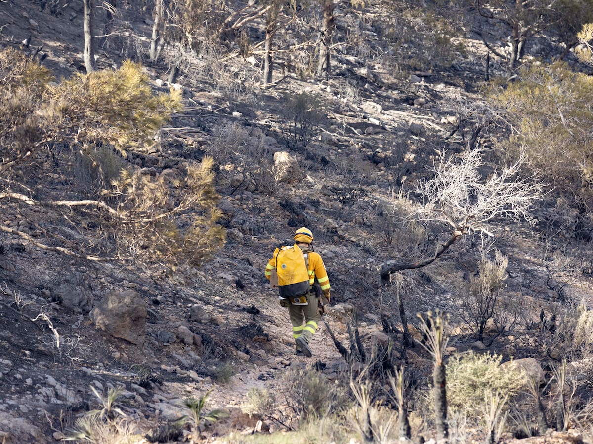 El incendio de Cabo Tiñoso, advertencia anticipada antes de la temporada de alto riesgo