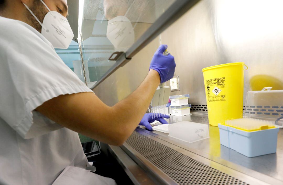 Personal trabajando con muestras PCR en un laboratorio. 