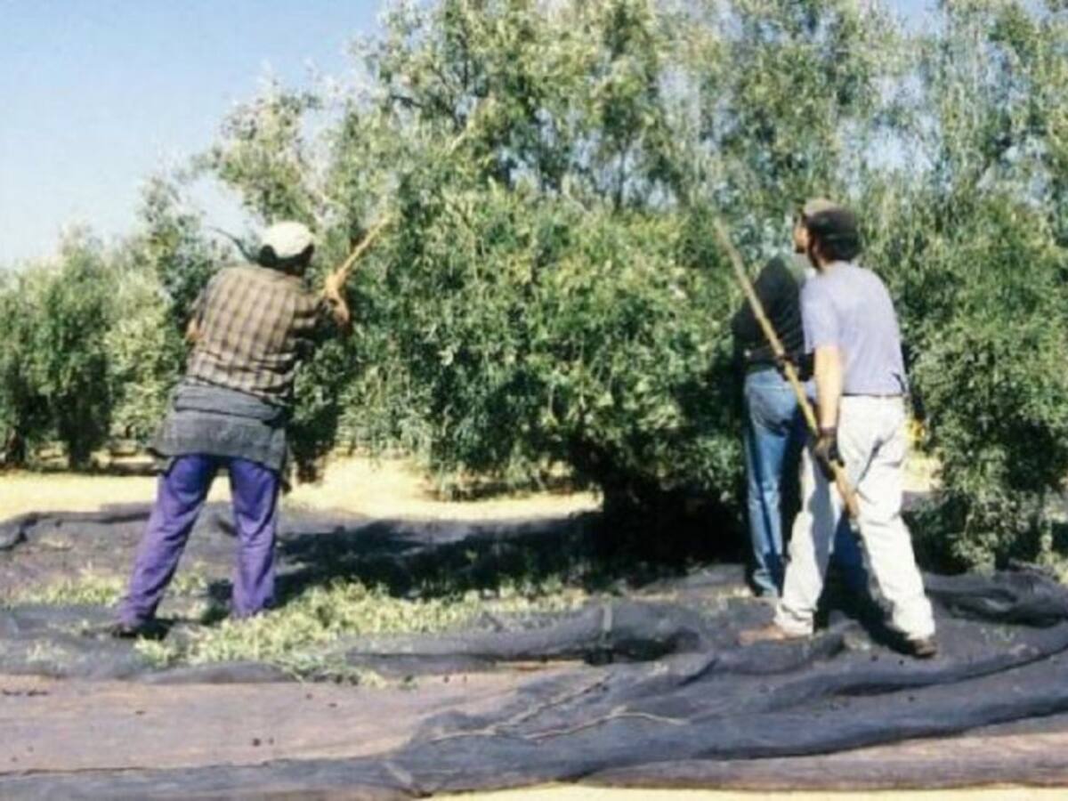 Córdoba suma 3.378 parados y registra su mayor subida del desempleo en enero desde el año 2013