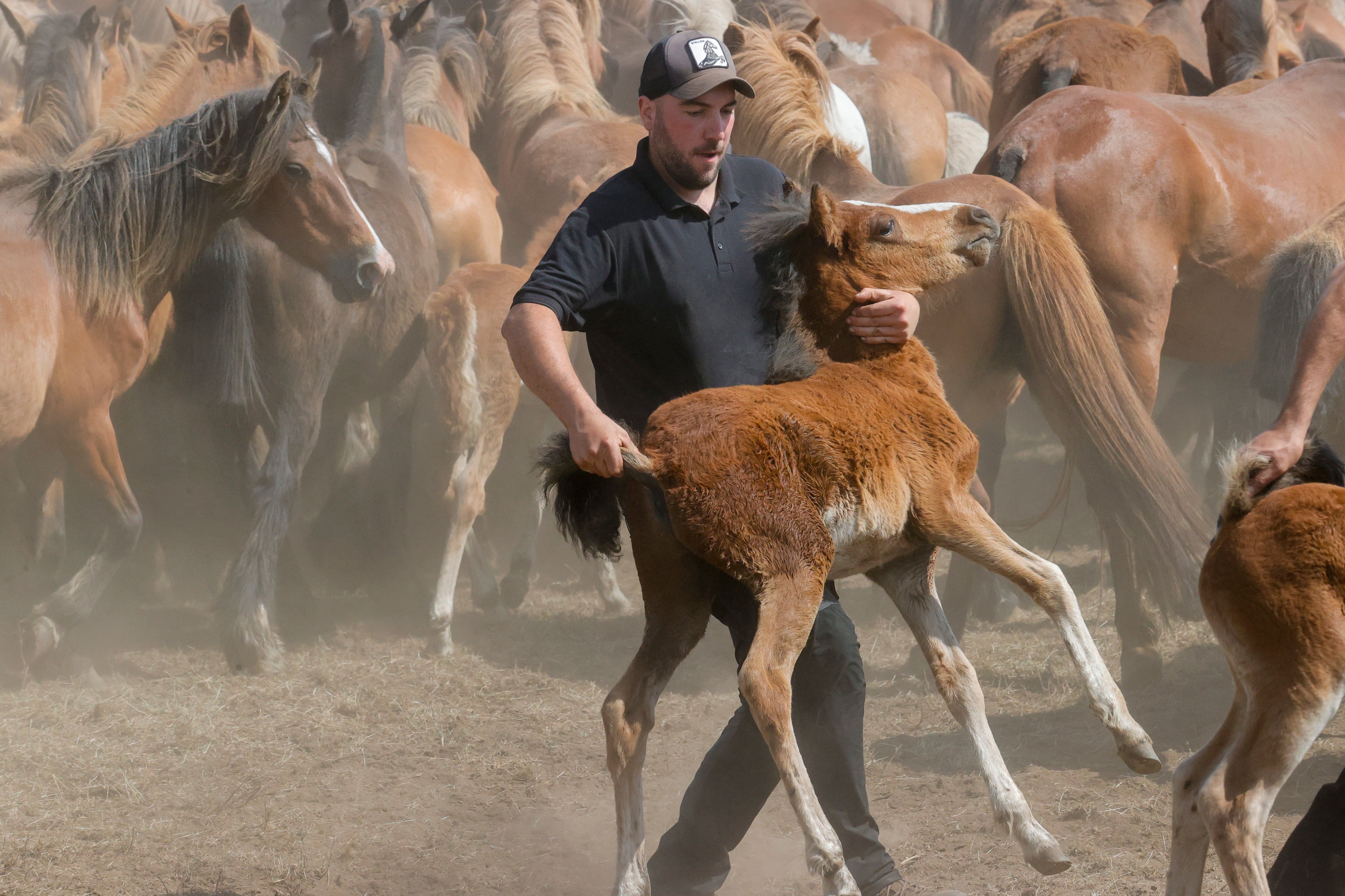 CEDEIRA, 04/06/2023.- Cedeira celebra este domingo su emblemática Rapa das Bestas en el curro de la sierra de A Capelada, que adquirió más popularidad gracias a la serie televisiva &quot;Rapa&quot;, protagonizada por Javier Cámara y Mónica López. EFE/ Kiko Delgado.