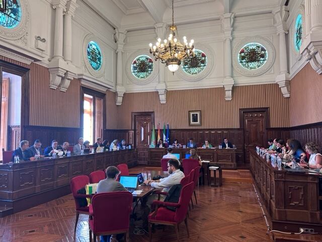 Sesión plenaria en la Diputación Provincial de Jaén.