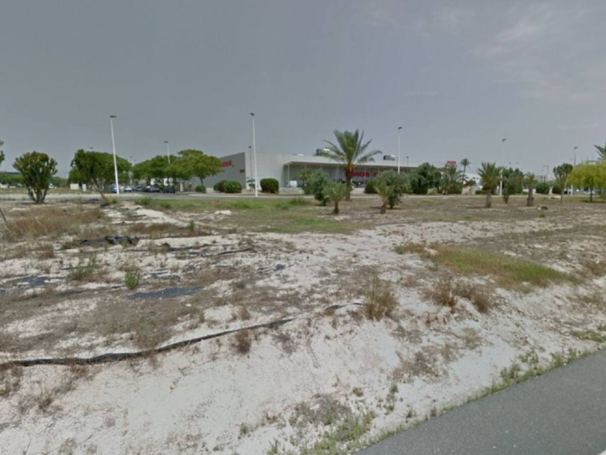 Mejorarán el arbolado y crearán una zona de pícnic en Elche Parque Empresarial