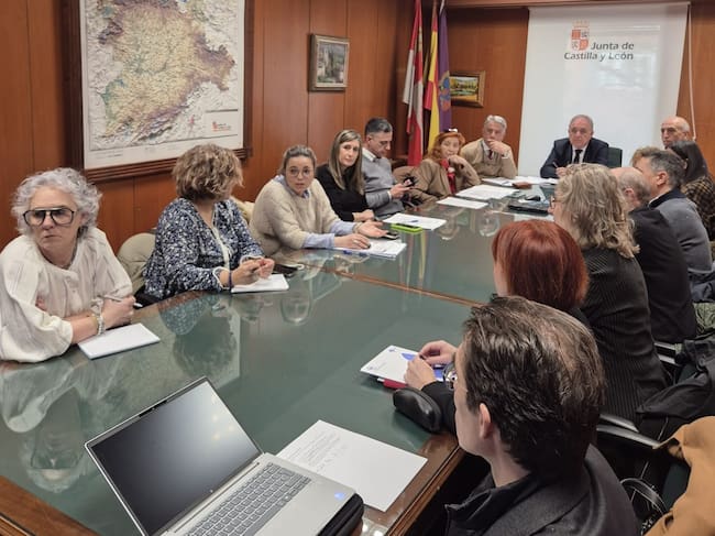 Consejo de Salud de Área de Palencia