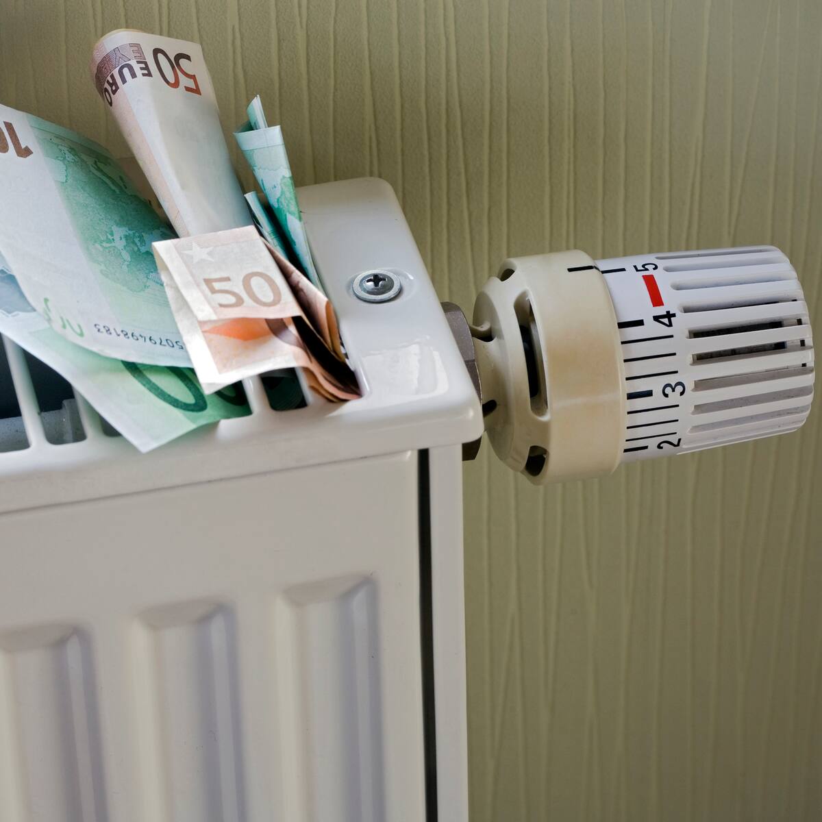 Ángeles Armisén: "La solución no es apagar la calefacción, hay que conseguir que se pueda encender a un precio asumible"