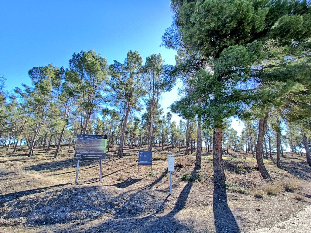 La zona ha quedado limpia tras ser retirados los plásticos y envases