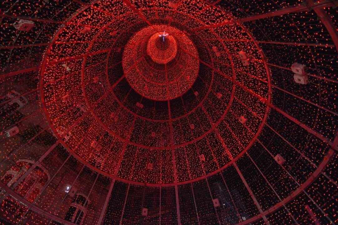 Interior del árbol ubicado en Porta do Sol