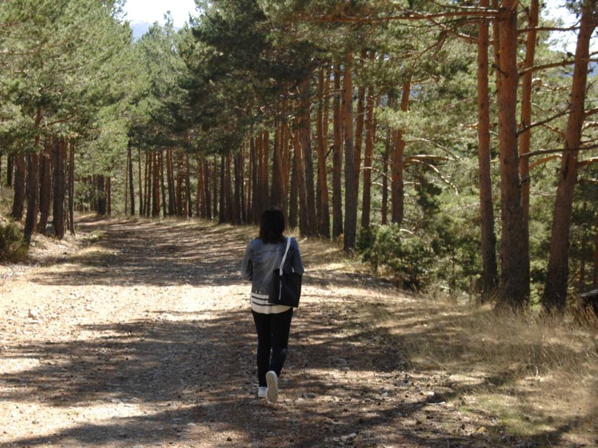 Continúa el riesgo medio de incendios forestales