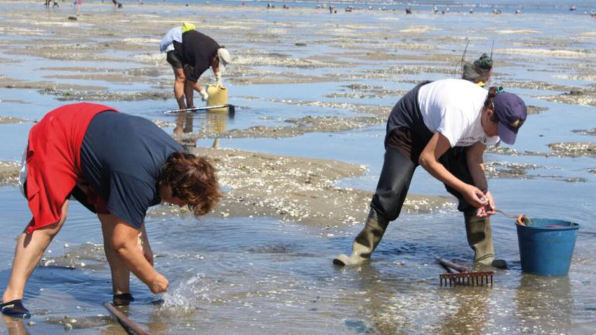 Contra el furtivismo