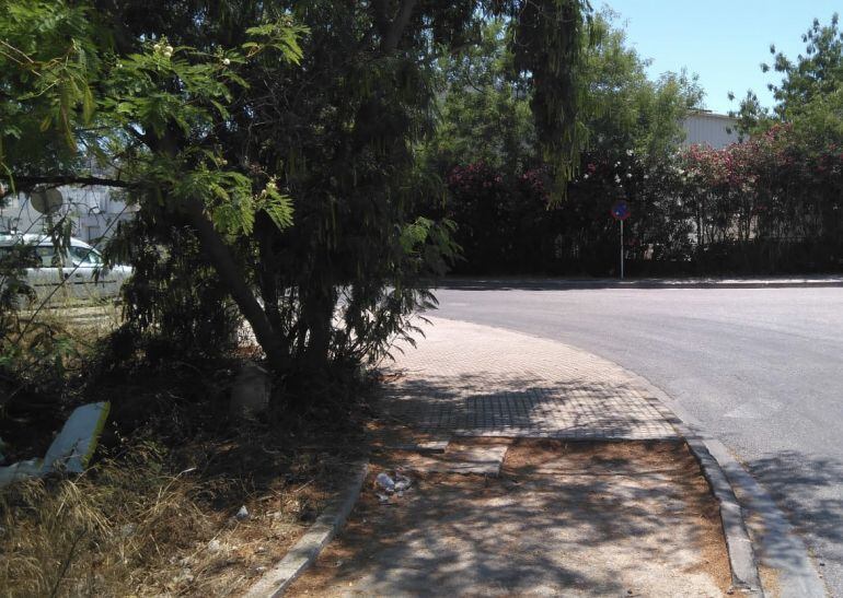 Foto tomada por los Populares en un solar particular