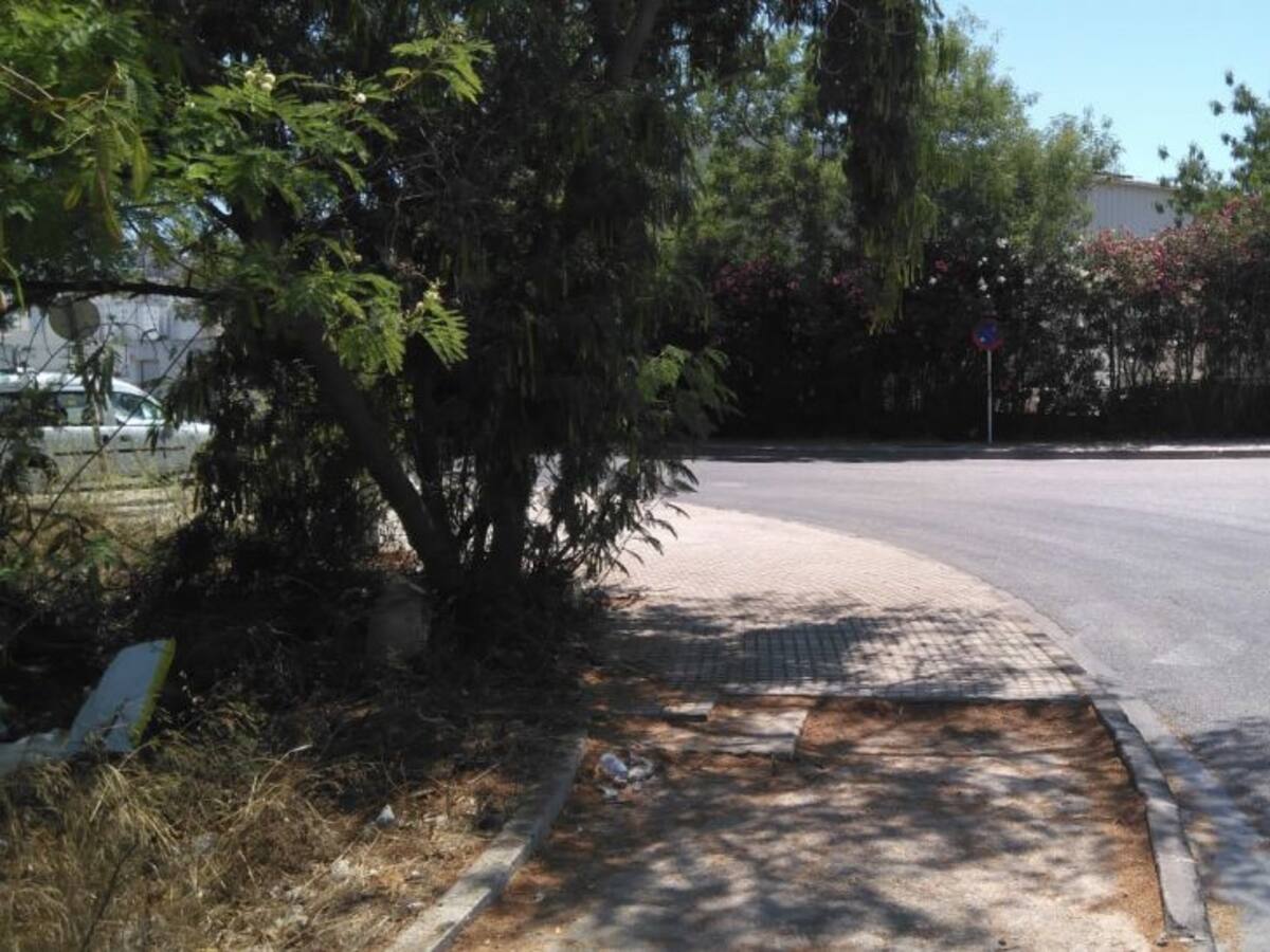 El PP pedirá explicaciones sobre la limpieza de solares privados en Ibiza