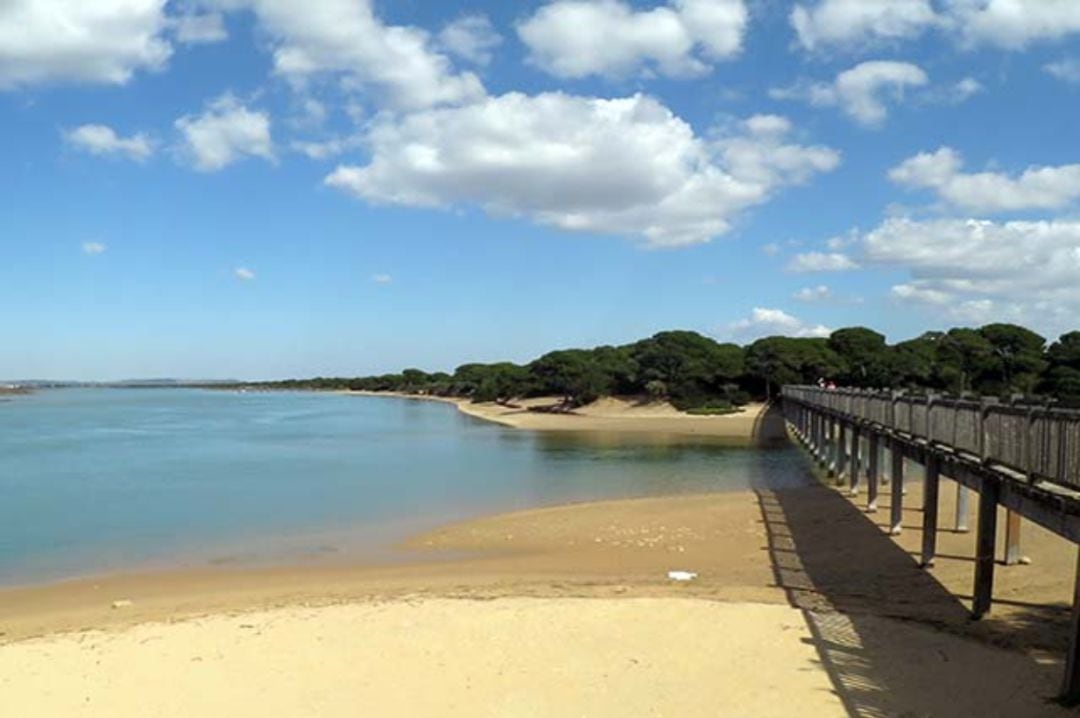 Playa del Río de San Pedro en Puerto Real