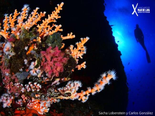 Foto de Sacha Lobenstein, segundo puesto en la competición.