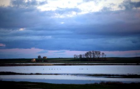 Lagunas de Villafáfila (Zamora)