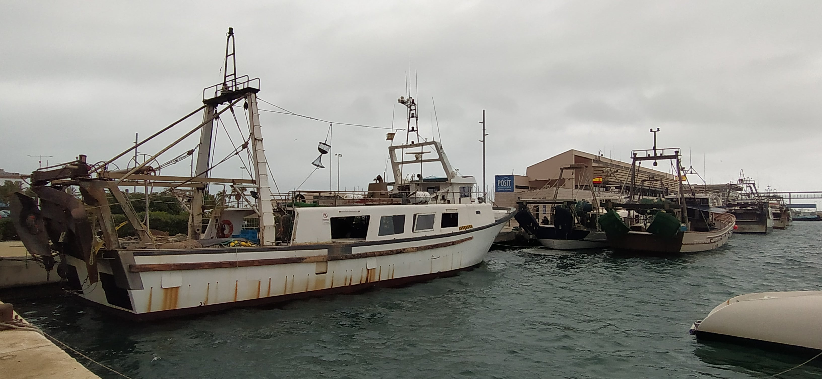 Flota pesquera de Dénia amarrada a puerto.