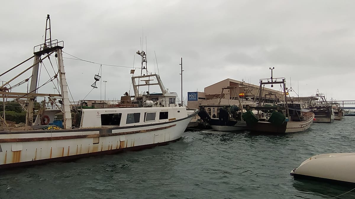 Las cofradías de la Marina Alta se suman al parón pesquero contra el nuevo reglamento europeo