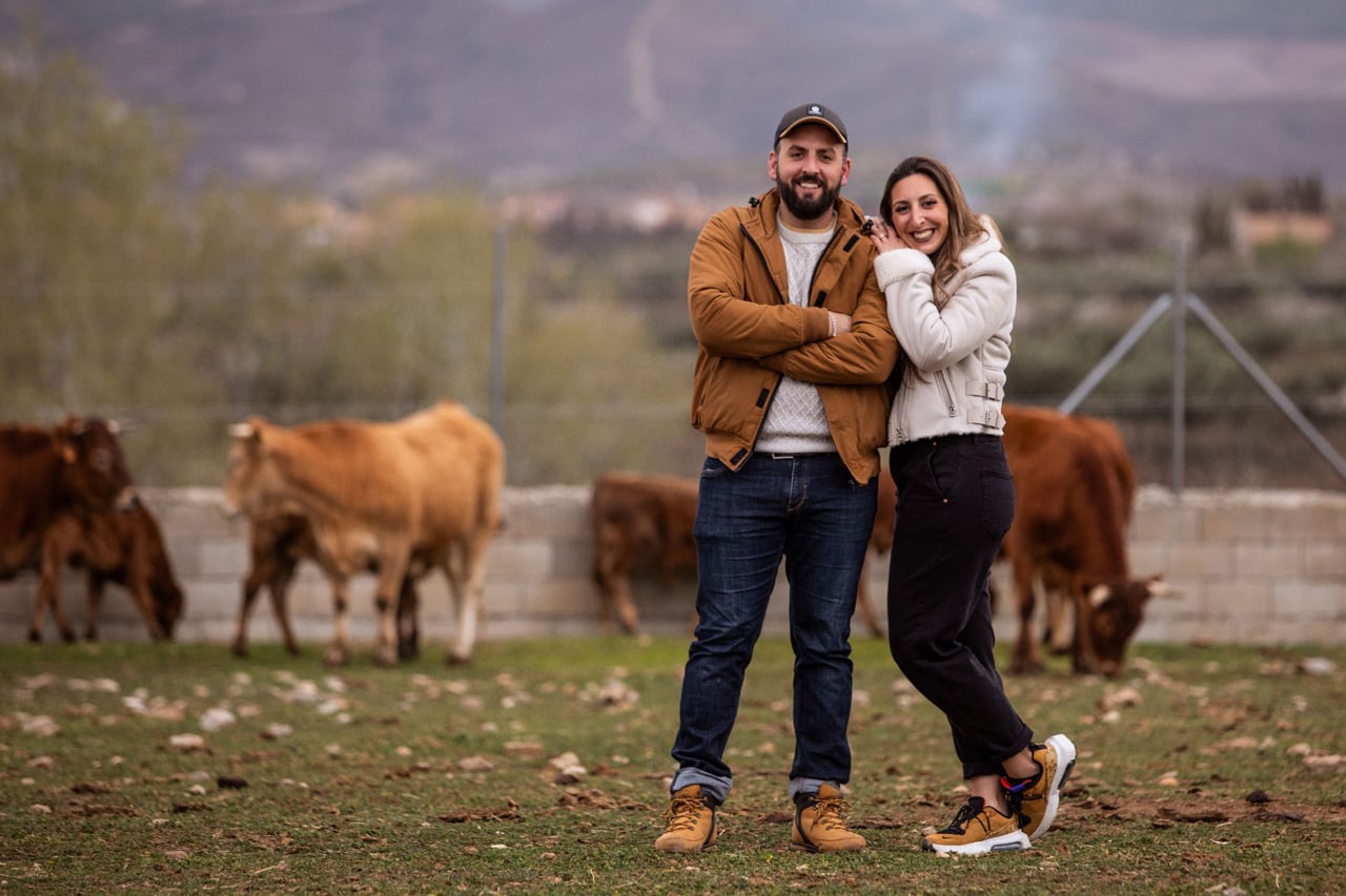 Vacas pajunas en Cortijo Luján de Otura (Granada) con sus propietarios Antonio y Marina Fernández-Hervás