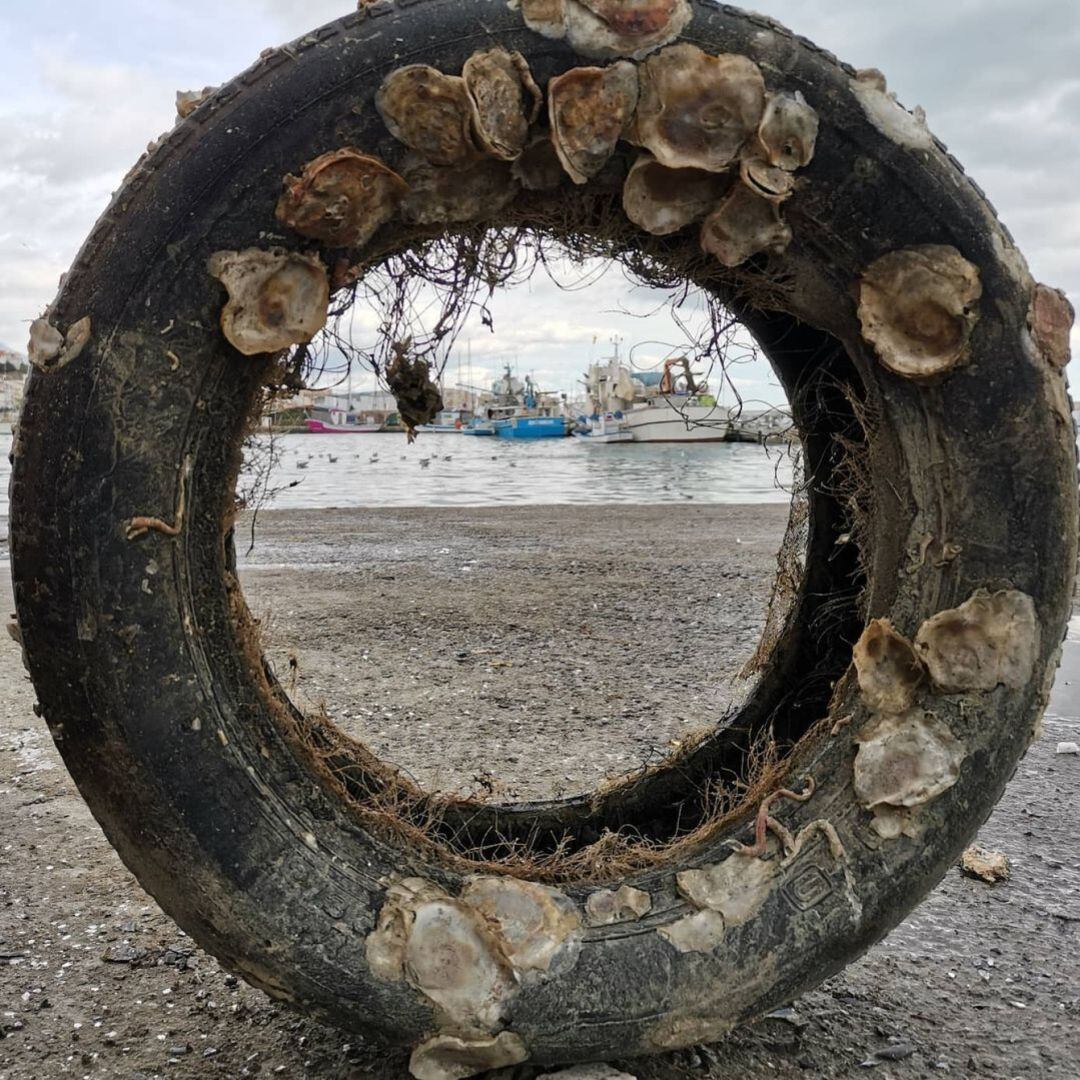 La flota de arrastre que participa en el proyecto "Mares Circulares" continua con la recogida de residuos