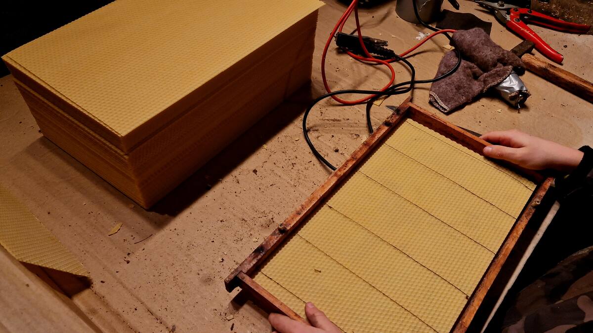 Los viejos cines de Tremor de Arriba renacen con "el espíritu de la colmena", un proyecto de Igüeña y el Miteco de 1,4 millones de euros