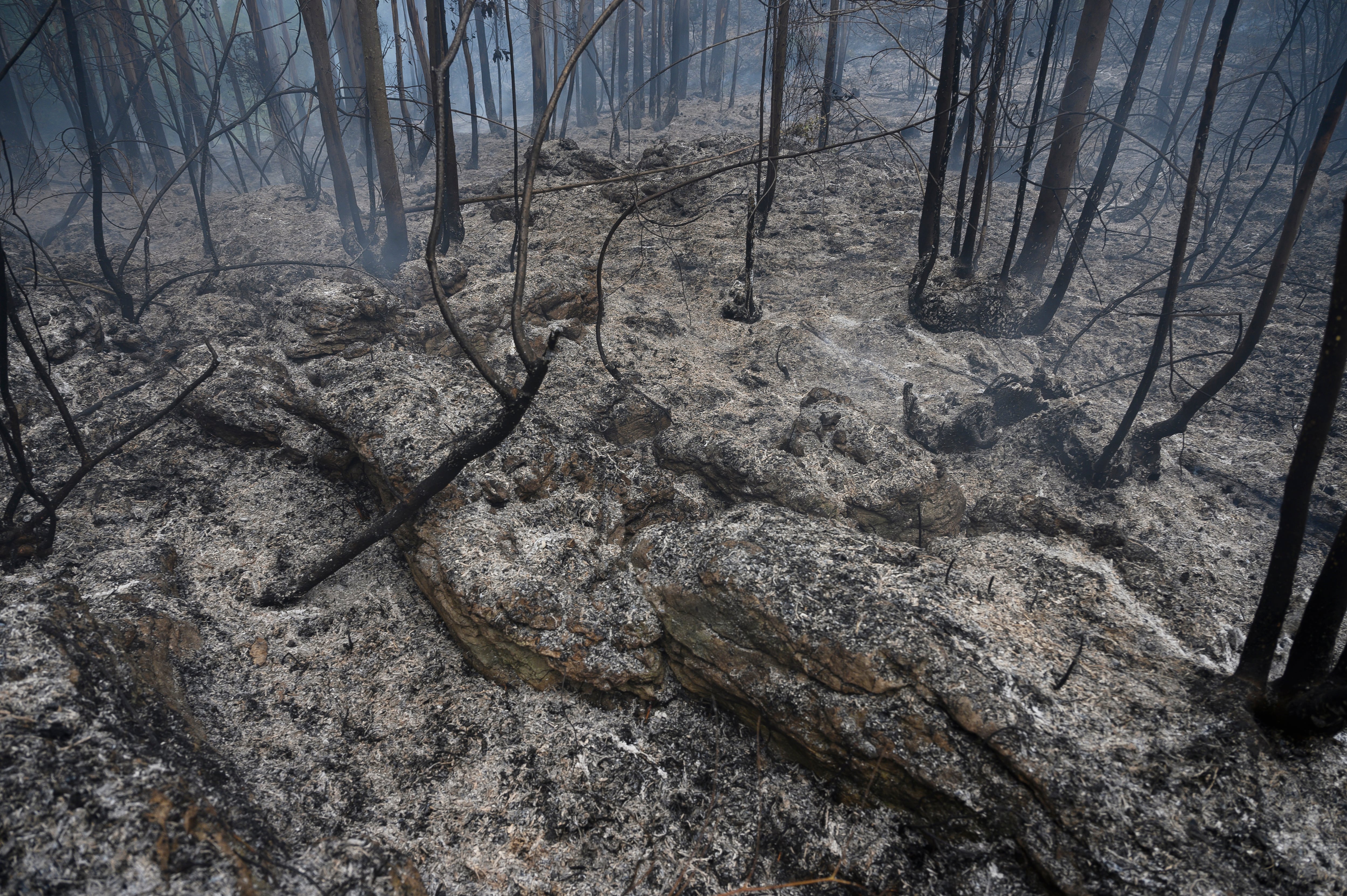 Superficie afectada por el incendio forestal declarado en la localidad cántabra de Hazas de Cesto.