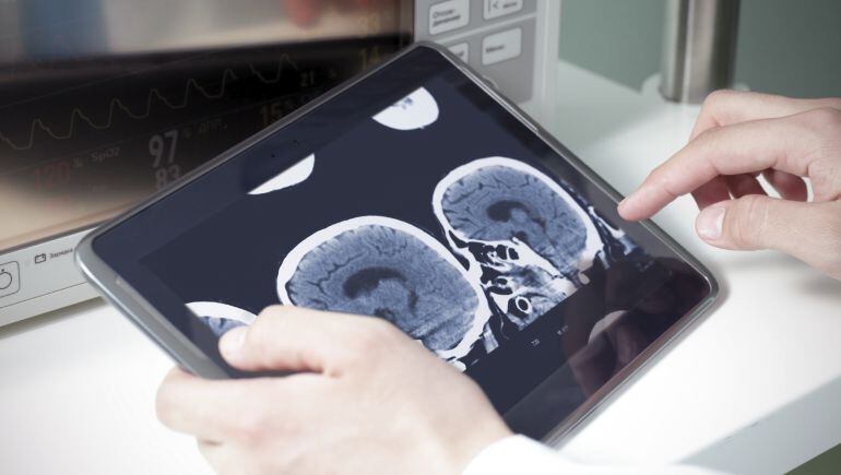 Cada dia es produeixen més dades biològiques. Processar-les i explorar-les ràpidament per extreure'n conclusions és un repte pels científics.