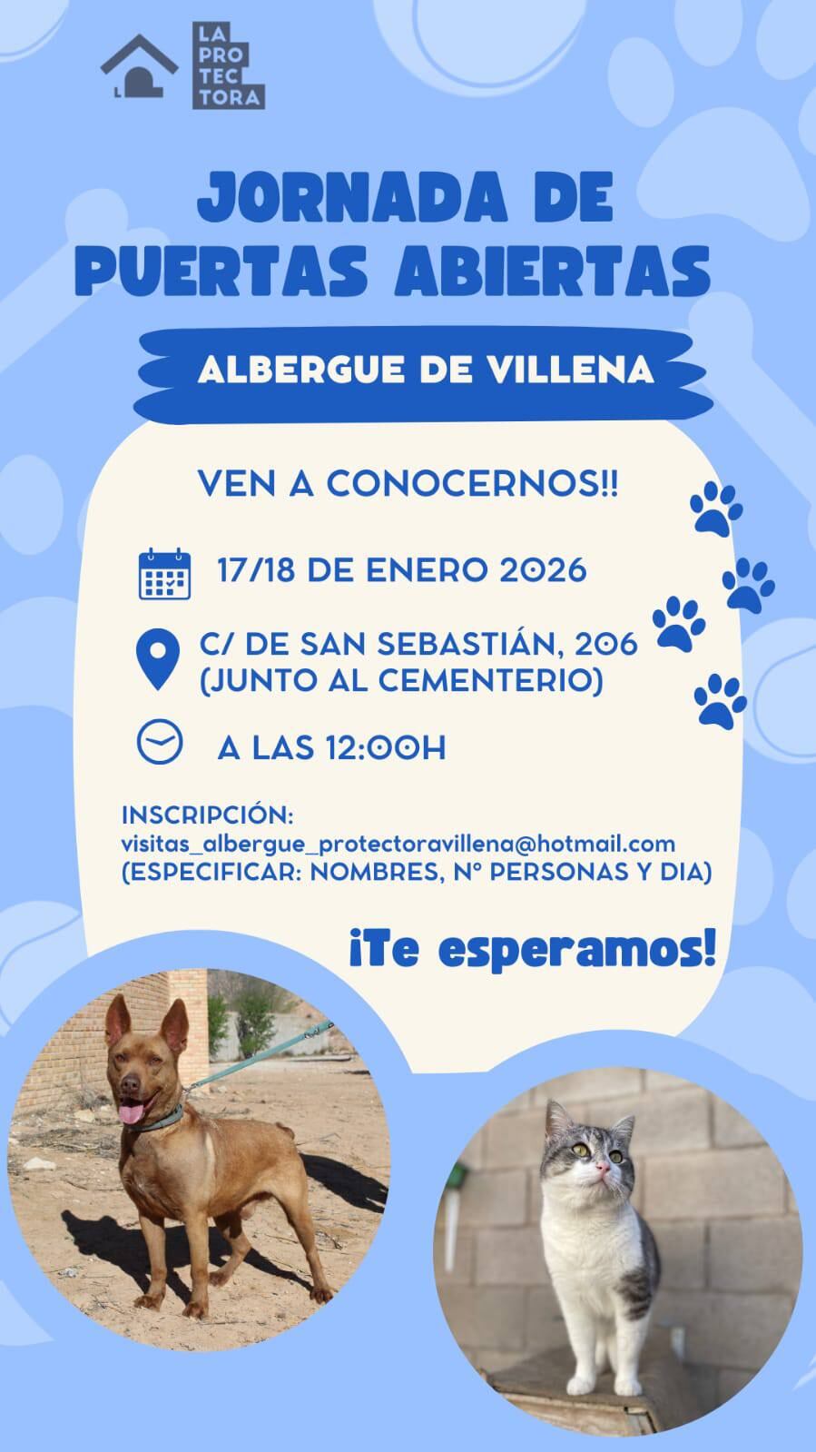 Cartel jornada puertas abiertas