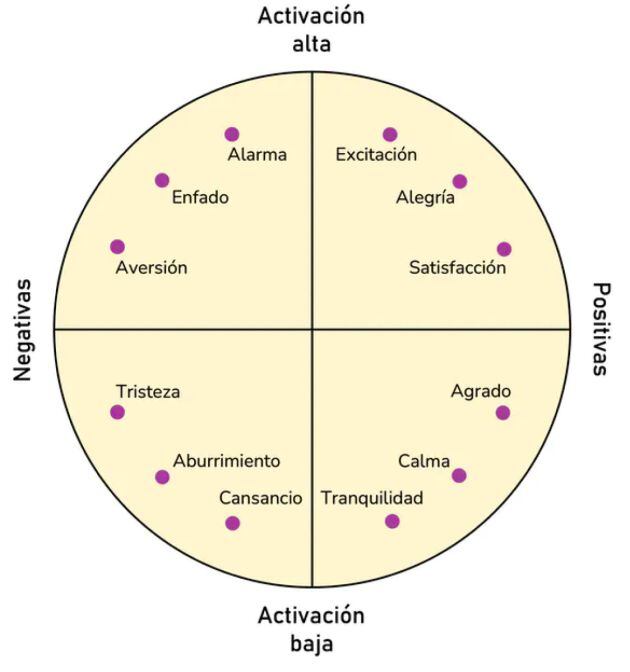 Las emociones pueden clasificarse según su nivel de activación y si son positivas o negativas.
