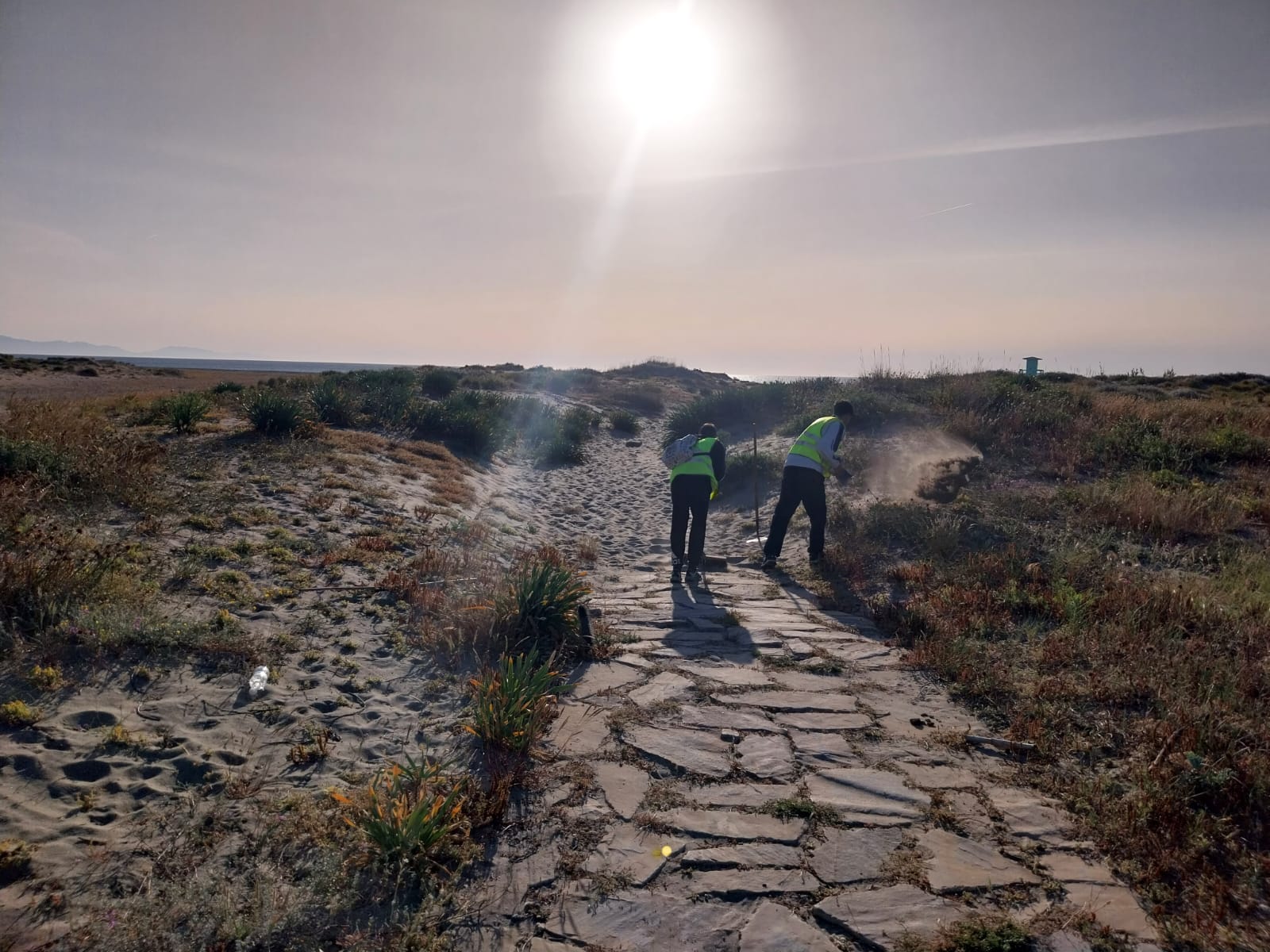 Limpieza de playas en La Línea