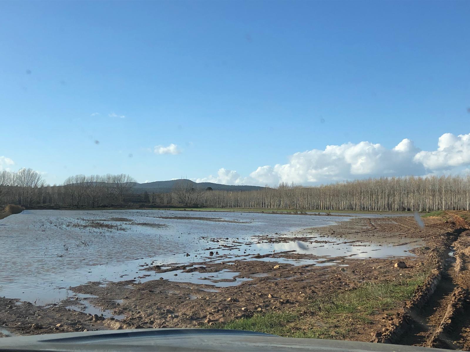 Parcela de cereal inundada.