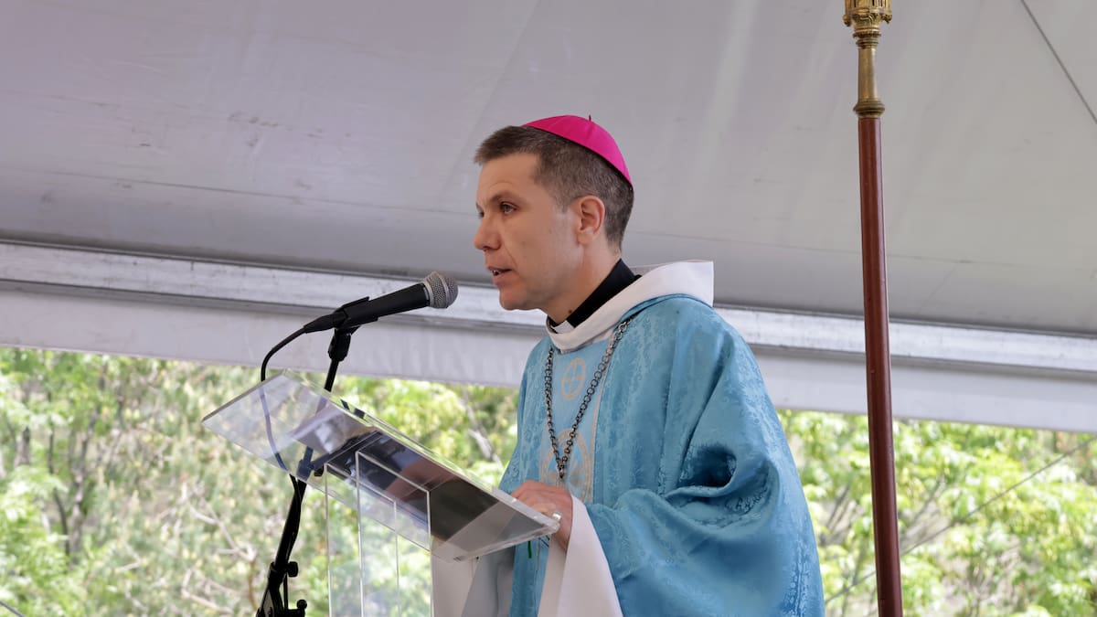 El sometent participarà en l'acte de jurament del copríncep Serrano i s'esperen més de 1.000 persones