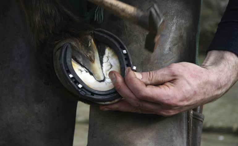 Un hombre herrando a un caballo