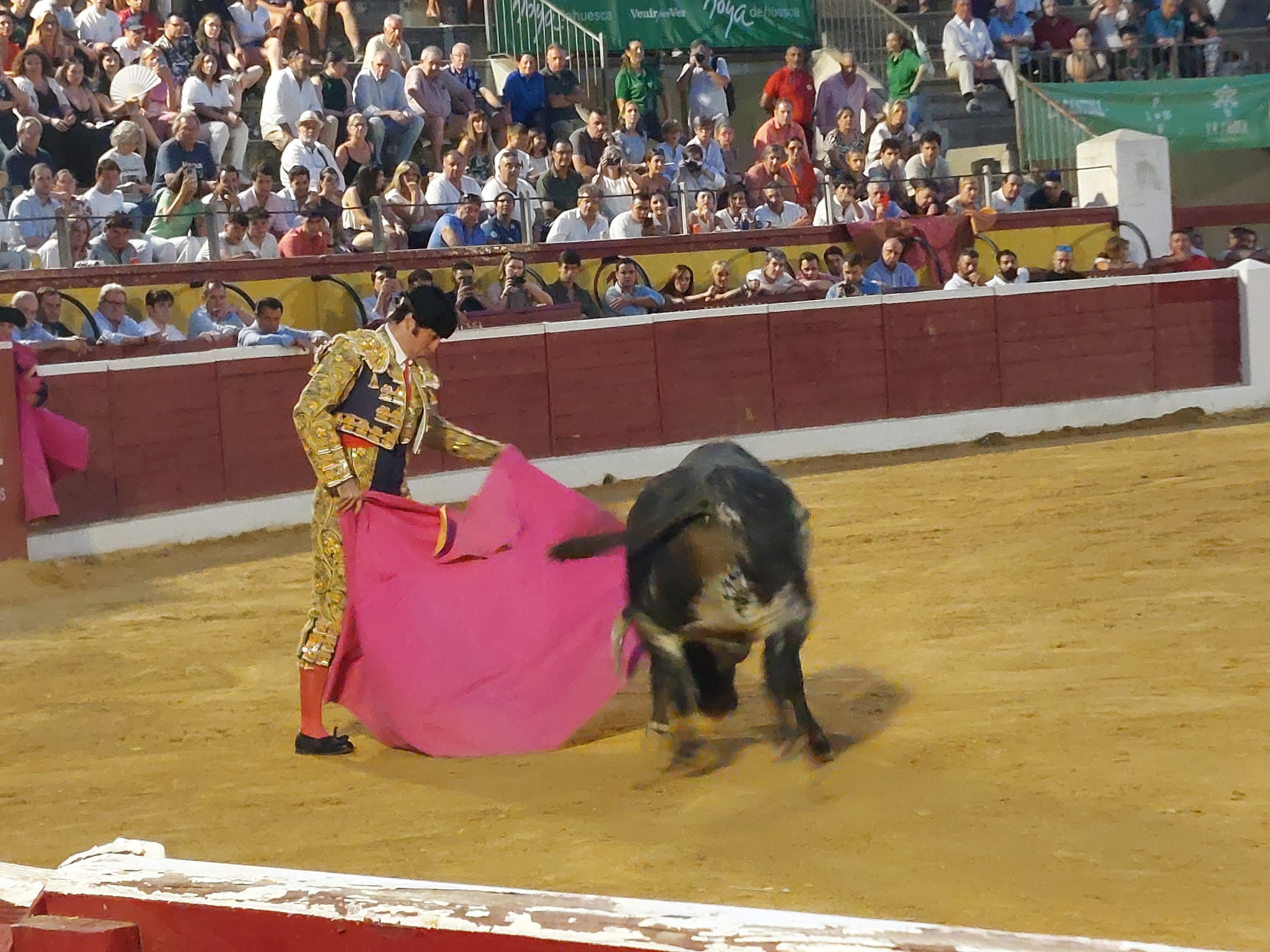 La novillada previa a la Feria Taurina de San Lorenzo se celebró con un gran ambiente en los tendidos