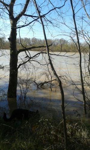 El Ebro, cerca de Utebo