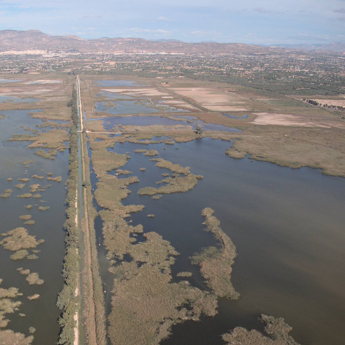 Riegos de Levante recibe el Premio a la Protección y Cuidado del Medio Ambiente