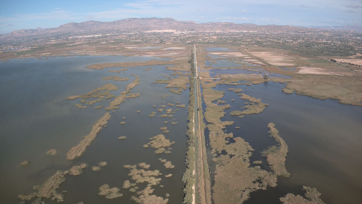 Riegos de Levante recibe el Premio a la Protección y Cuidado del Medio Ambiente