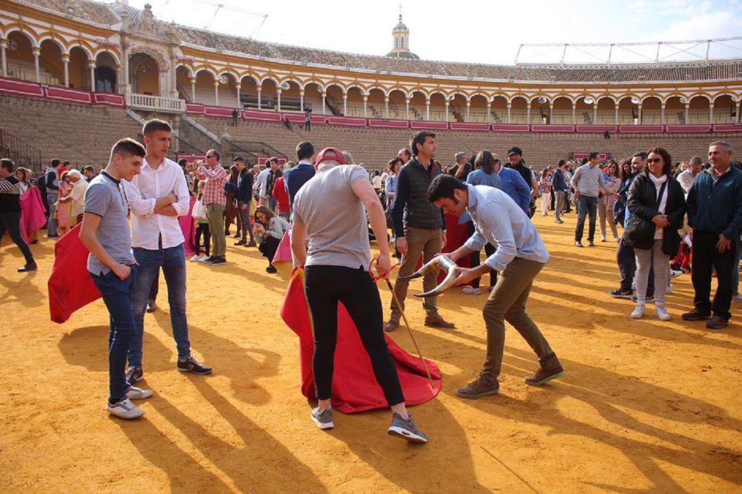 Imagen de la jornada de puertas abiertas celebrada el pasado año en la Maestranza