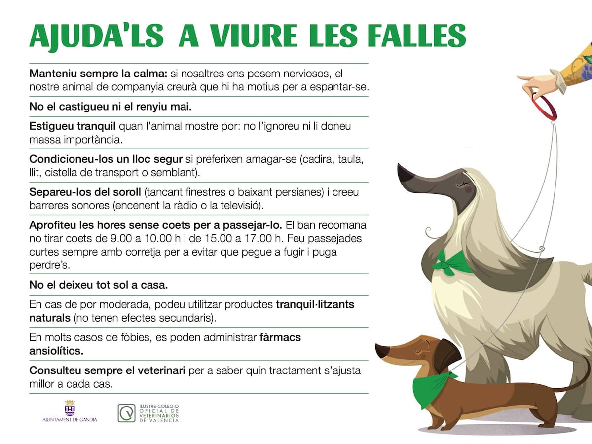 Un 'pañuelo verde' para un 'paseo tranquilo', en las Fallas de Gandia 2026